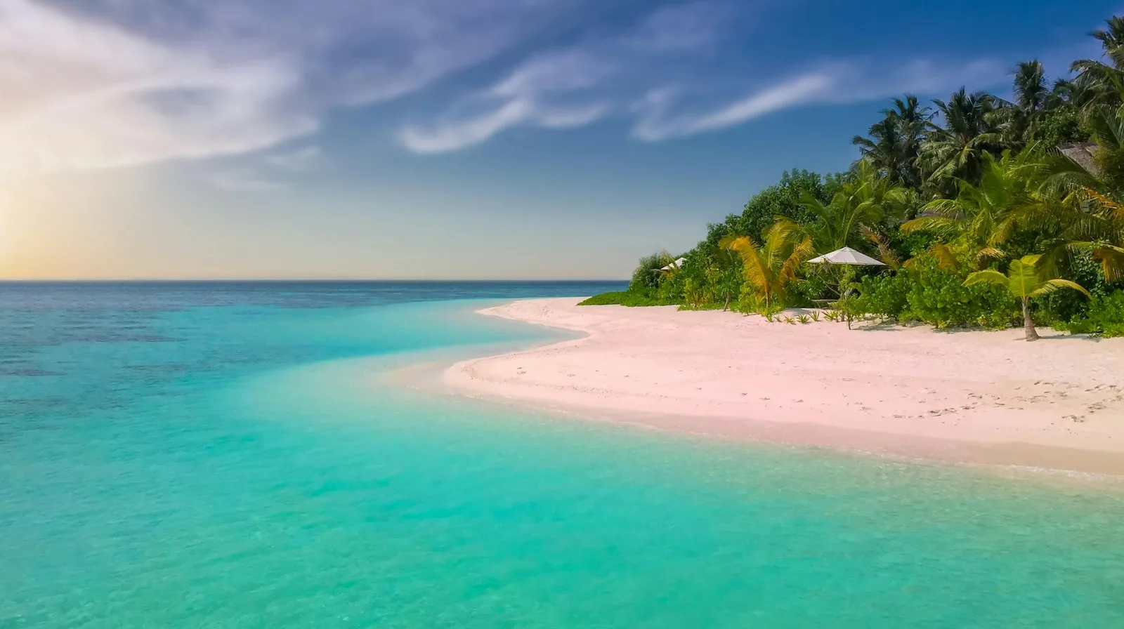Tropical beach background